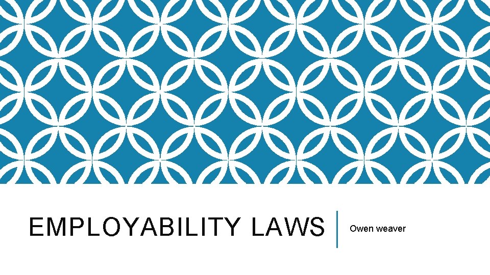 EMPLOYABILITY LAWS Owen weaver 