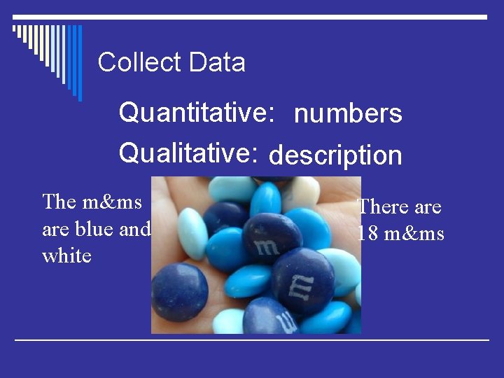 Collect Data Quantitative: numbers Qualitative: description The m&ms are blue and white There are