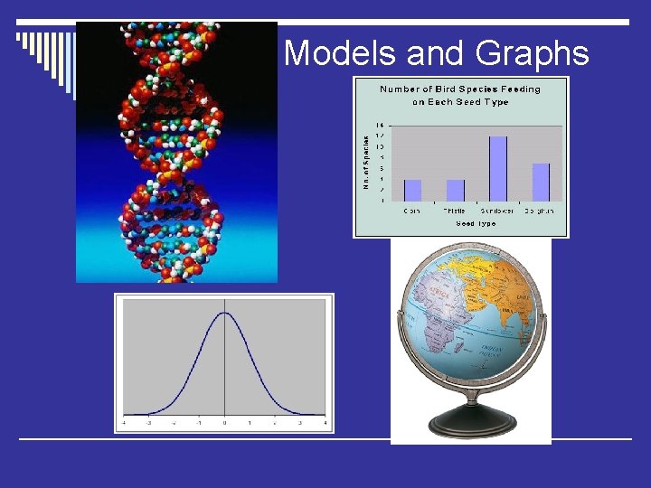 Models and Graphs 