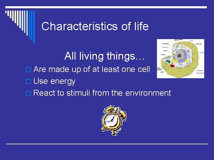 Characteristics of life All living things… o Are made up of at least one