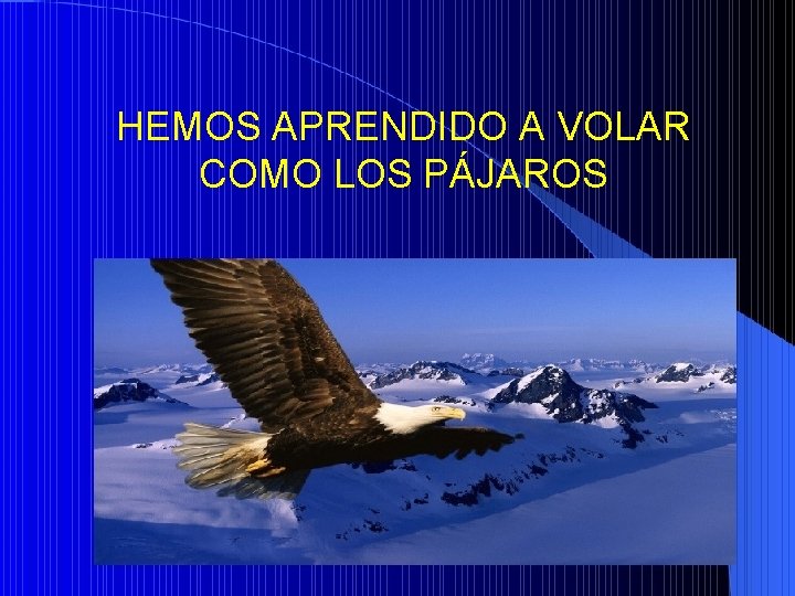 HEMOS APRENDIDO A VOLAR COMO LOS PÁJAROS 