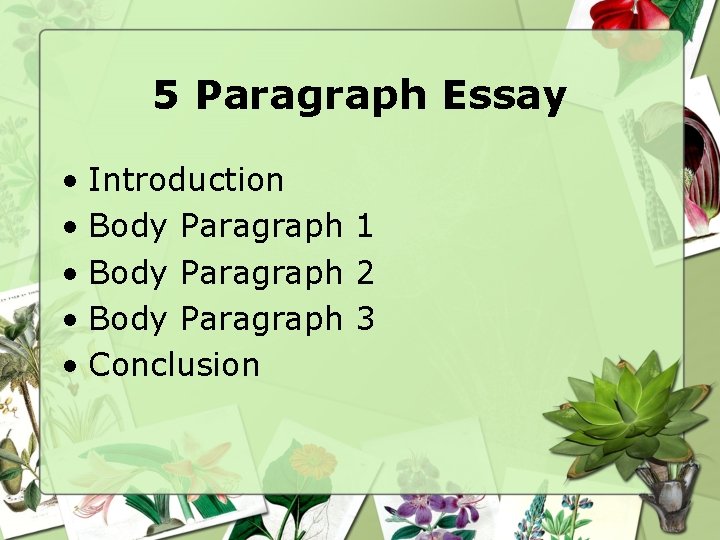 5 Paragraph Essay • Introduction • Body Paragraph 1 • Body Paragraph 2 •