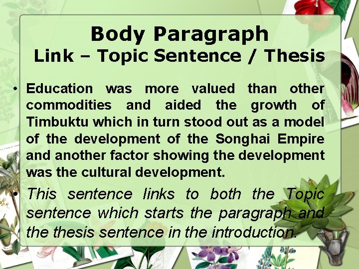 Body Paragraph Link – Topic Sentence / Thesis • Education was more valued than
