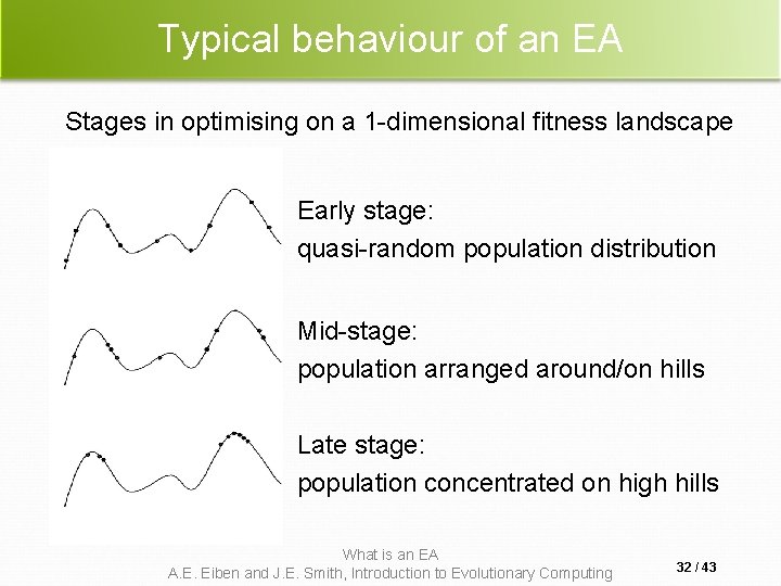 Typical behaviour of an EA Stages in optimising on a 1 -dimensional fitness landscape