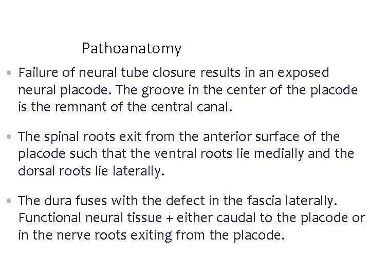 Pathoanatomy • Failure of neural tube closure results in an exposed neural placode. The