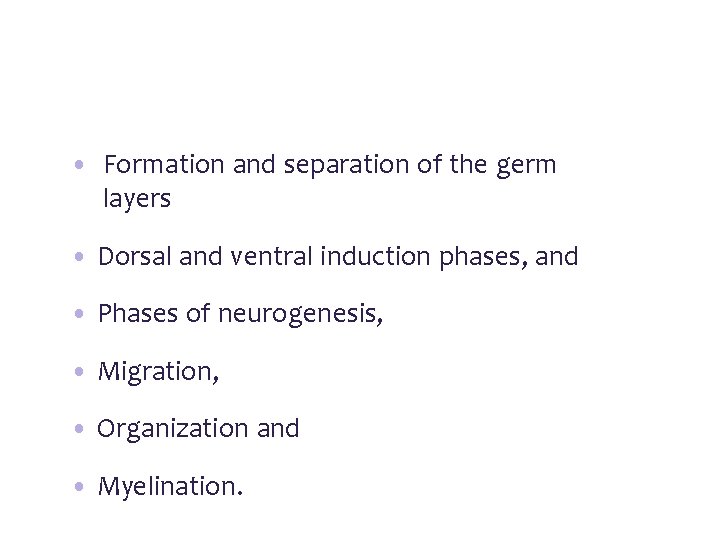  • Formation and separation of the germ layers • Dorsal and ventral induction