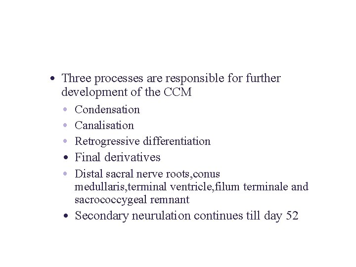  • Three processes are responsible for further development of the CCM • Condensation