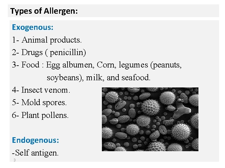 Types of Allergen: Exogenous: 1 - Animal products. 2 - Drugs ( penicillin) 3