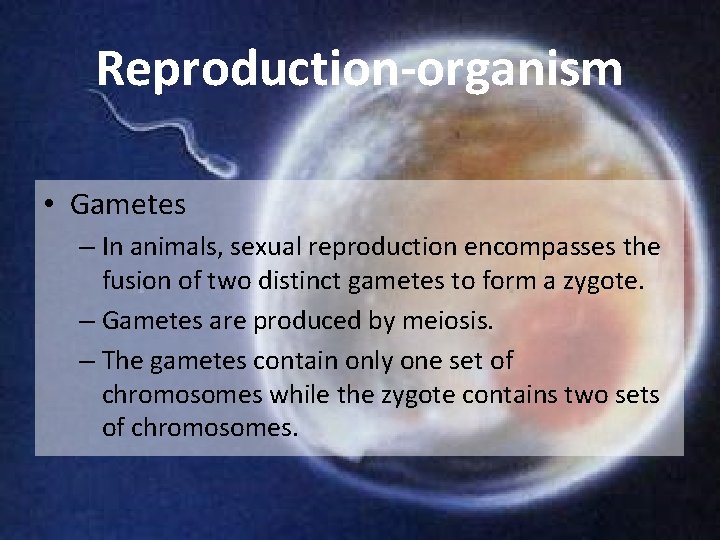 Reproduction-organism • Gametes – In animals, sexual reproduction encompasses the fusion of two distinct