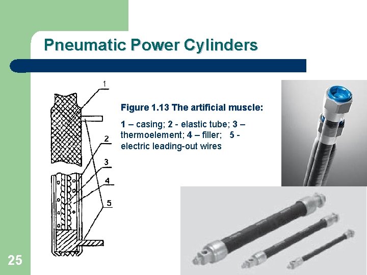 Pneumatic Power Cylinders Figure 1. 13 The artificial muscle: 1 – casing; 2 -