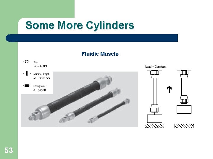 Some More Cylinders Fluidic Muscle 53 