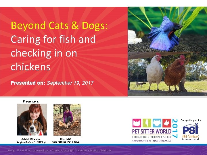 Beyond Cats & Dogs: Caring for fish and checking in on chickens Image Placeholder