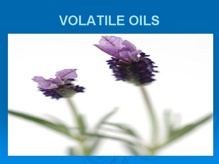 VOLATILE OILS 