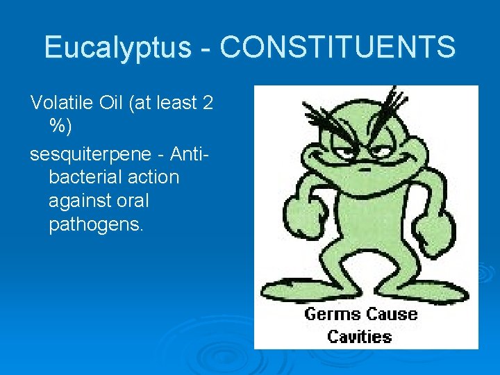 Eucalyptus - CONSTITUENTS Volatile Oil (at least 2 %) sesquiterpene - Antibacterial action against