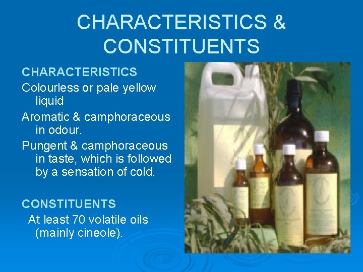 CHARACTERISTICS & CONSTITUENTS CHARACTERISTICS Colourless or pale yellow liquid Aromatic & camphoraceous in odour.