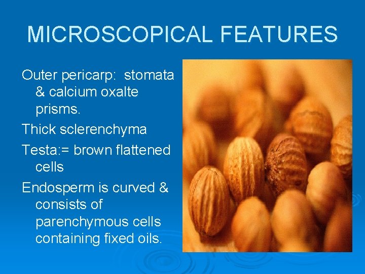 MICROSCOPICAL FEATURES Outer pericarp: stomata & calcium oxalte prisms. Thick sclerenchyma Testa: = brown