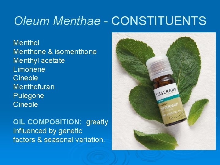 Oleum Menthae - CONSTITUENTS Menthol Menthone & isomenthone Menthyl acetate Limonene Cineole Menthofuran Pulegone