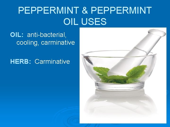 PEPPERMINT & PEPPERMINT OIL USES OIL: anti-bacterial, cooling, carminative HERB: Carminative 