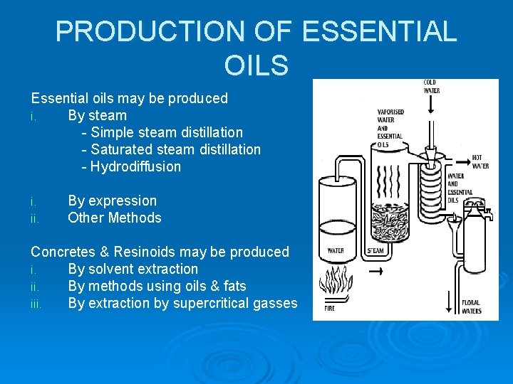 PRODUCTION OF ESSENTIAL OILS Essential oils may be produced i. By steam - Simple