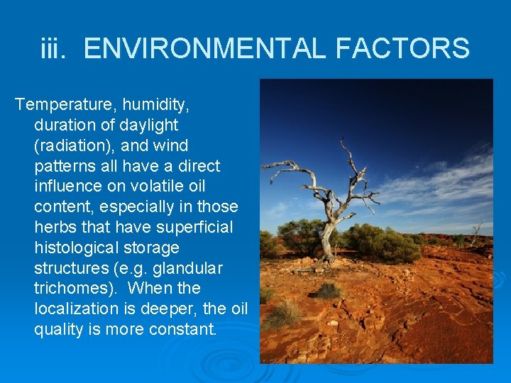 iii. ENVIRONMENTAL FACTORS Temperature, humidity, duration of daylight (radiation), and wind patterns all have