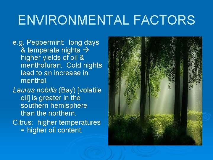 ENVIRONMENTAL FACTORS e. g. Peppermint: long days & temperate nights higher yields of oil