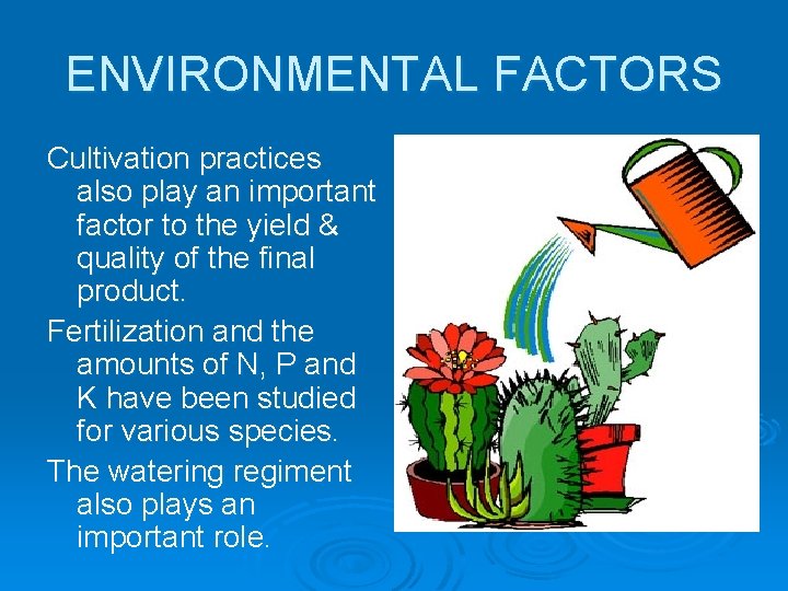 ENVIRONMENTAL FACTORS Cultivation practices also play an important factor to the yield & quality