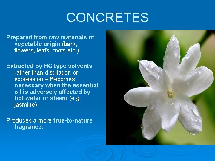 CONCRETES Prepared from raw materials of vegetable origin (bark, flowers, leafs, roots etc. )