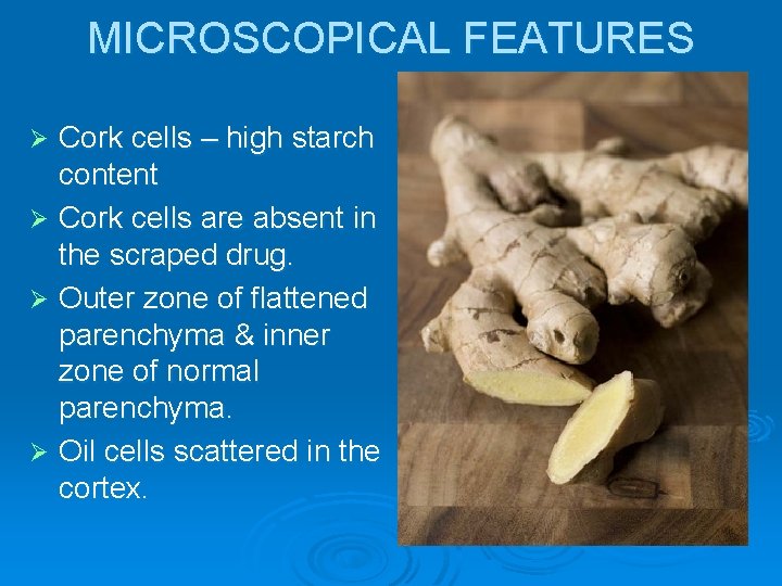 MICROSCOPICAL FEATURES Cork cells – high starch content Ø Cork cells are absent in