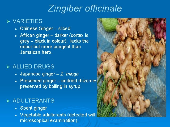 Zingiber officinale Ø VARIETIES l l Ø ALLIED DRUGS l l Ø Chinese Ginger