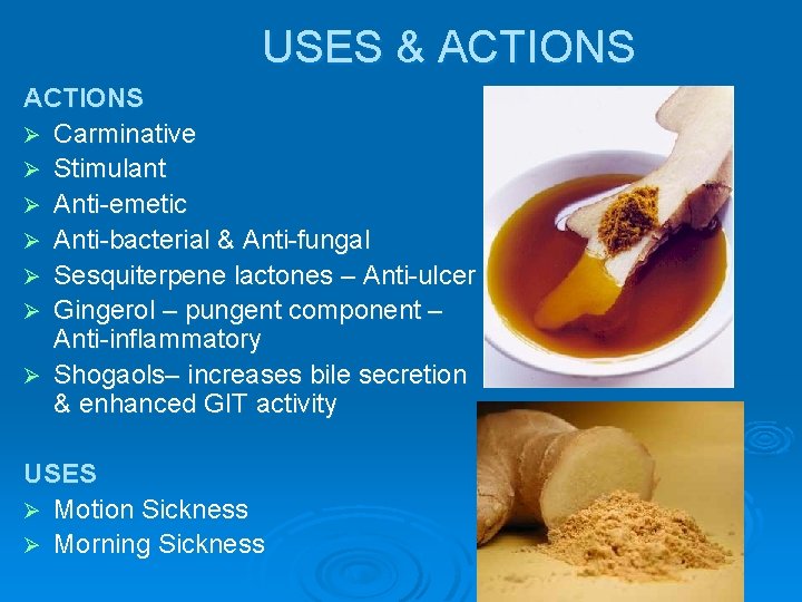 USES & ACTIONS Ø Carminative Ø Stimulant Ø Anti-emetic Ø Anti-bacterial & Anti-fungal Ø