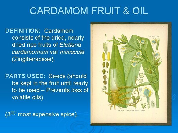 CARDAMOM FRUIT & OIL DEFINITION: Cardamom consists of the dried, nearly dried ripe fruits