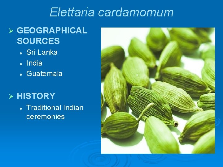 Elettaria cardamomum Ø GEOGRAPHICAL SOURCES l l l Ø Sri Lanka India Guatemala HISTORY