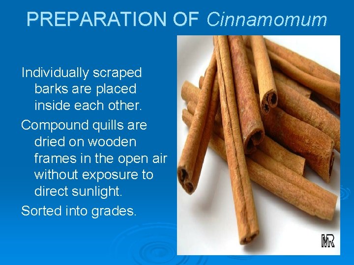 PREPARATION OF Cinnamomum Individually scraped barks are placed inside each other. Compound quills are