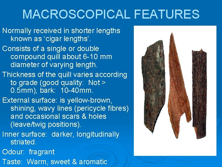 MACROSCOPICAL FEATURES Normally received in shorter lengths known as ‘cigar lengths’. Consists of a