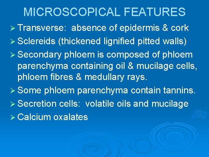 MICROSCOPICAL FEATURES Ø Transverse: absence of epidermis & cork Ø Sclereids (thickened lignified pitted