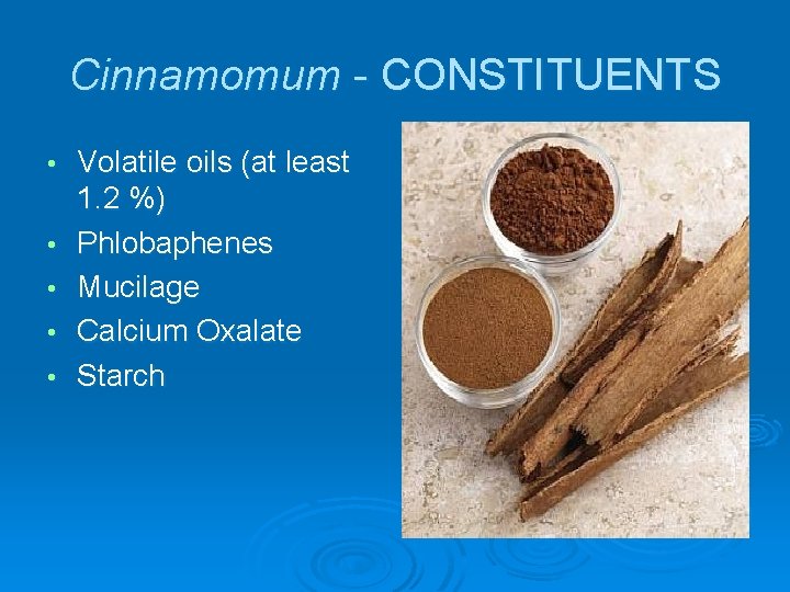 Cinnamomum - CONSTITUENTS • • • Volatile oils (at least 1. 2 %) Phlobaphenes