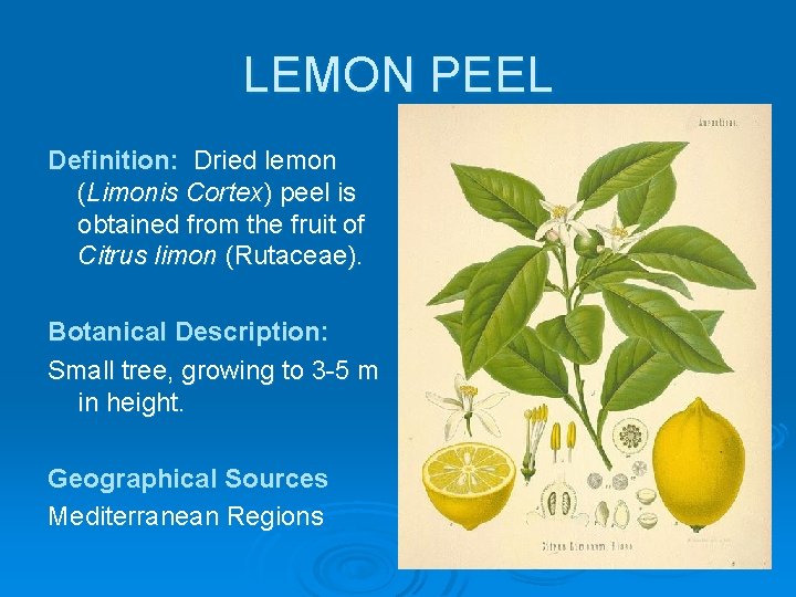 LEMON PEEL Definition: Dried lemon (Limonis Cortex) peel is obtained from the fruit of