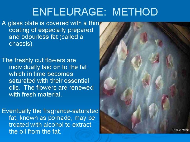 ENFLEURAGE: METHOD A glass plate is covered with a thin coating of especially prepared