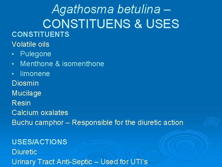 Agathosma betulina – CONSTITUENS & USES CONSTITUENTS Volatile oils • Pulegone • Menthone &