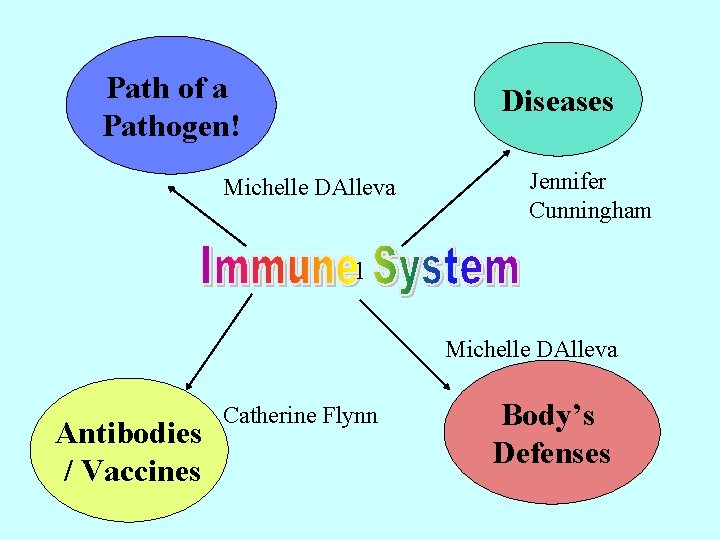 Path of a Pathogen! Diseases Michelle DAlleva Jennifer Cunningham l Michelle DAlleva Antibodies /