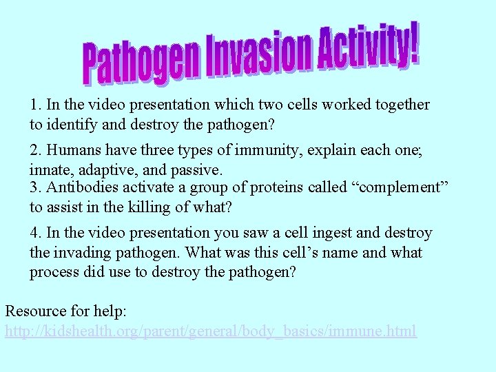 1. In the video presentation which two cells worked together to identify and destroy