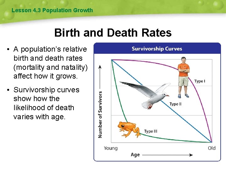 Lesson 4. 3 Population Growth Birth and Death Rates • A population’s relative birth