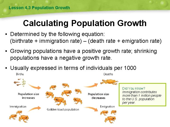 Lesson 4. 3 Population Growth Calculating Population Growth • Determined by the following equation: