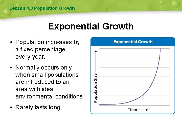 Lesson 4. 3 Population Growth Exponential Growth • Population increases by a fixed percentage