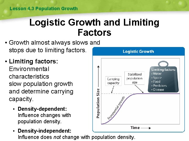 Lesson 4. 3 Population Growth Logistic Growth and Limiting Factors • Growth almost always