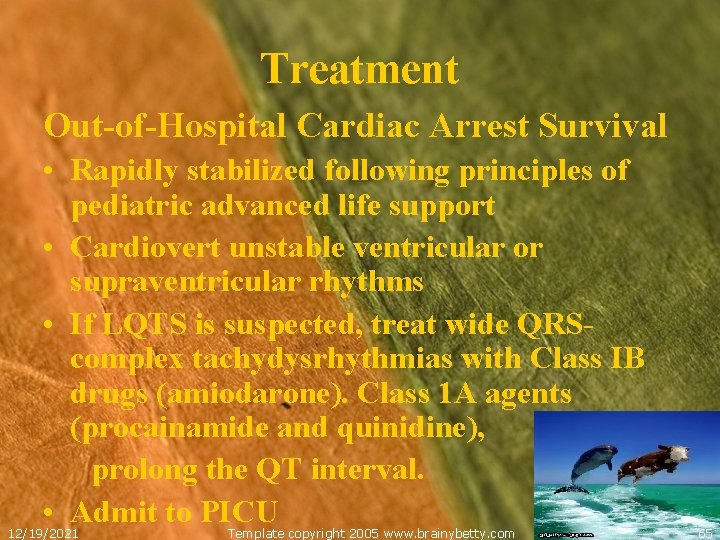 Treatment Out-of-Hospital Cardiac Arrest Survival • Rapidly stabilized following principles of pediatric advanced life