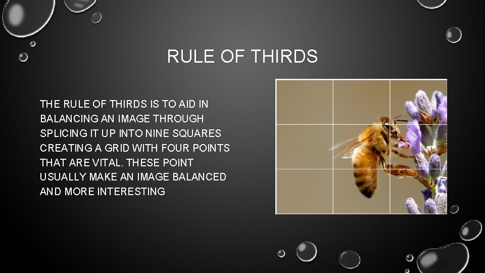 RULE OF THIRDS THE RULE OF THIRDS IS TO AID IN BALANCING AN IMAGE