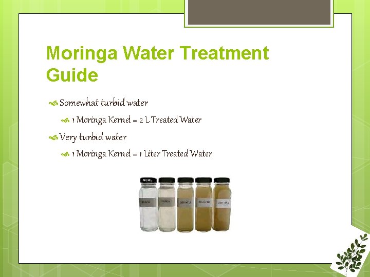 Moringa Water Treatment Guide Somewhat turbid water 1 Moringa Kernel = 2 L Treated