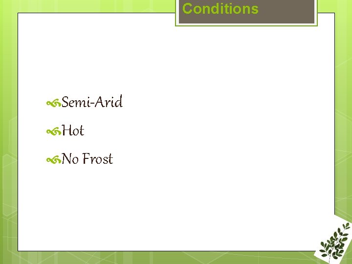 Conditions Semi-Arid Hot No Frost 