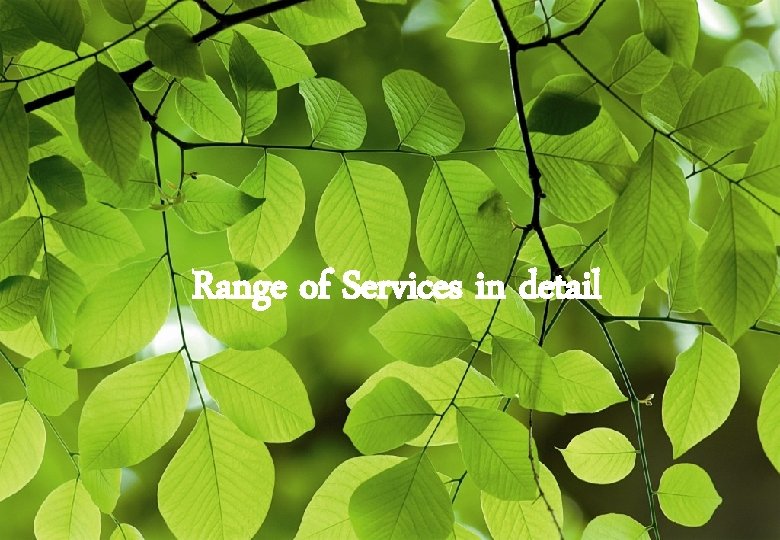 Range of Services in detail 9 
